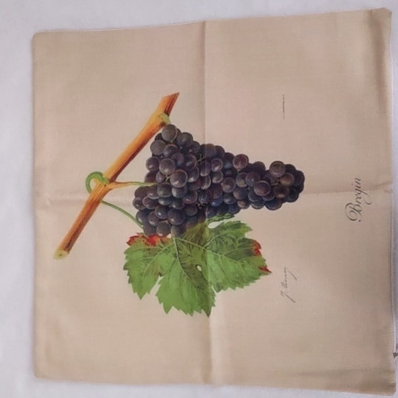 New SET Fruits & Veggies Accent Pillow Case - Picture 4 of 8